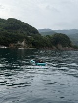 シーズン到来？