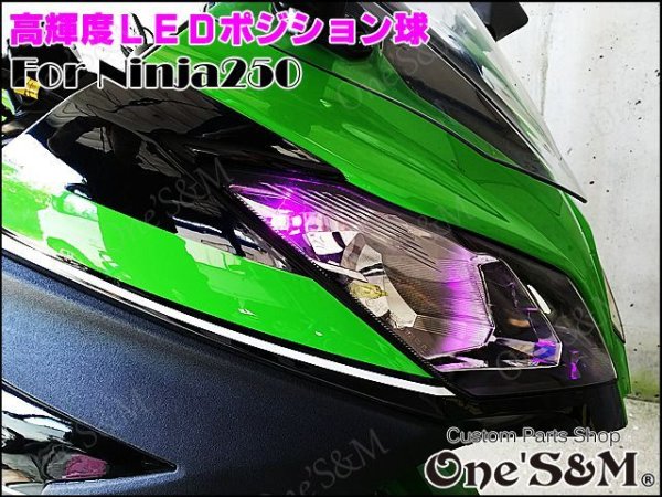 画像2: Ninja250 ニンジャ250 EX250L 対応 SMD LEDポジション球 2個セット (2)