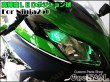 画像3: Ninja250 ニンジャ250 EX250L 対応 SMD LEDポジション球 2個セット (3)