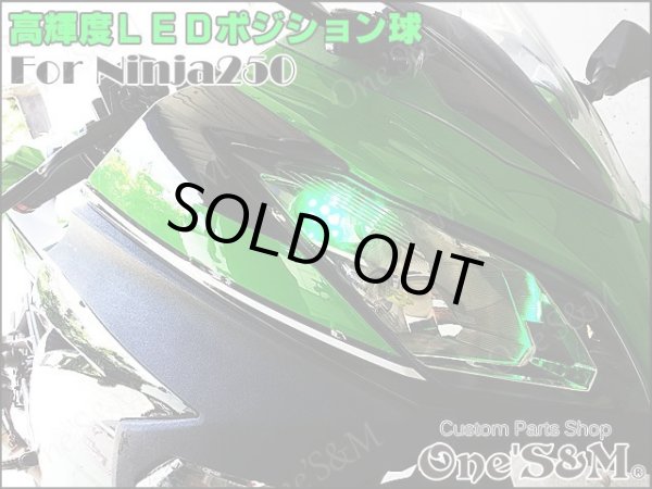 画像3: Ninja250 ニンジャ250 EX250L 対応 SMD LEDポジション球 2個セット (3)
