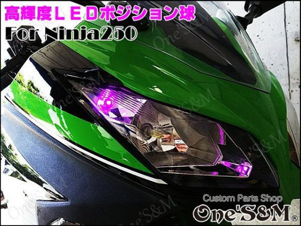 画像1: Ninja250 ニンジャ250 EX250L 対応 SMD LEDポジション球 2個セット (1)