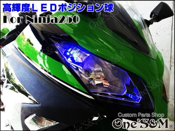 画像1: Ninja250 ニンジャ250 EX250L 対応 SMD LEDポジション球 2個セット (1)