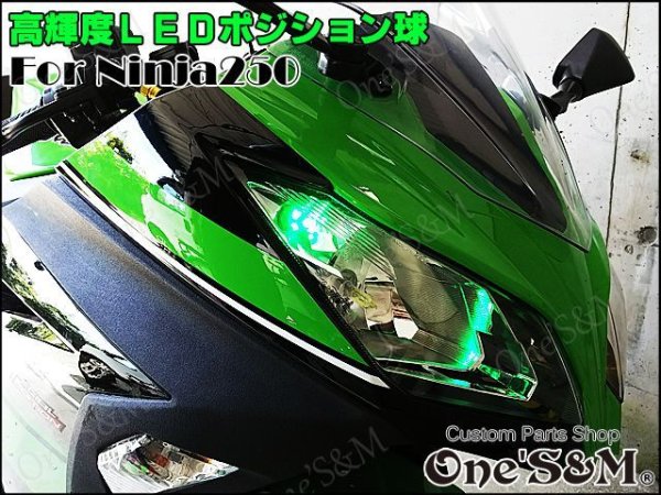 画像1: Ninja250 ニンジャ250 EX250L 対応 SMD LEDポジション球 2個セット (1)