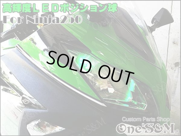 画像1: Ninja250 ニンジャ250 EX250L 対応 SMD LEDポジション球 2個セット (1)