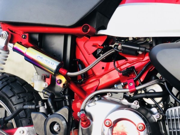 画像3: M6 6mm ロゼッタフジツボボルトセット 表裏1個セット ドレスアップに！ (3)