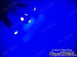 画像7: XJR400 4HM 対応 高輝度 SMD LED メーター球セット (7)