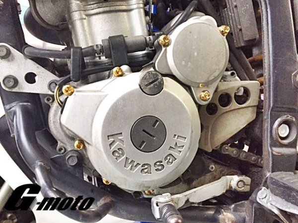 画像4: G-moto製 Dトラッカー250 対応 ステンレス製 ゴールドボルト 33本Set エンジンボルト ジェネレーターカバー等に フランジボルト (4)