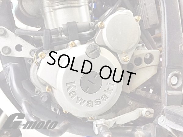 画像4: G-moto製 Dトラッカー250 対応 ステンレス製 ゴールドボルト 33本Set エンジンボルト ジェネレーターカバー等に フランジボルト (4)