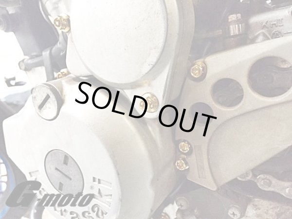 画像5: G-moto製 Dトラッカー250 対応 ステンレス製 ゴールドボルト 33本Set エンジンボルト ジェネレーターカバー等に フランジボルト (5)