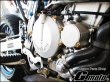 画像2: G-moto製 Dトラッカー250 対応 ステンレス製 ゴールドボルト 33本Set エンジンボルト ジェネレーターカバー等に フランジボルト (2)