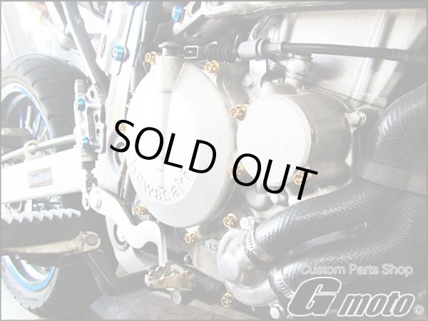 画像2: G-moto製 Dトラッカー250 対応 ステンレス製 ゴールドボルト 33本Set エンジンボルト ジェネレーターカバー等に フランジボルト (2)