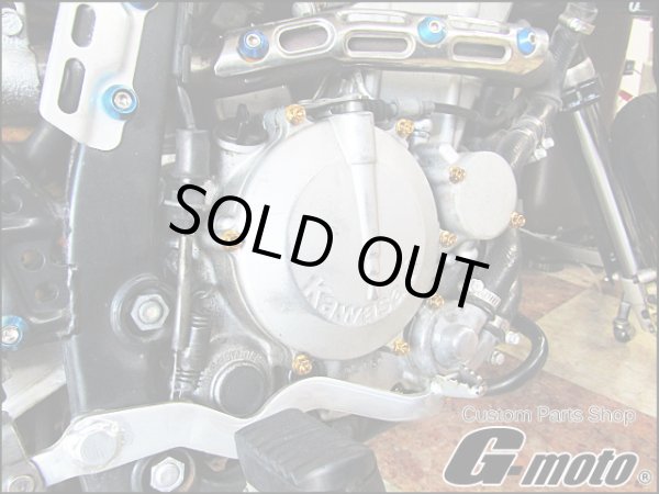 画像3: G-moto製 Dトラッカー250 対応 ステンレス製 ゴールドボルト 33本Set エンジンボルト ジェネレーターカバー等に フランジボルト (3)