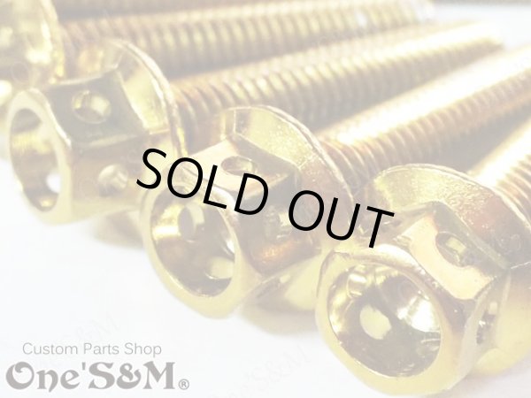 画像6: G-moto製 Dトラッカー250 対応 ステンレス製 ゴールドボルト 33本Set エンジンボルト ジェネレーターカバー等に フランジボルト (6)