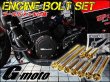 画像2: G-moto製 GPZ900R GPZ750R 対応 ステンレス製 ゴールドボルト フランジボルト エンジンボルト 26本Set (2)