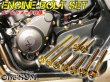 画像1: CB400SF Hyper Vtec SPECII SPECIII NC39専用 エンジンボルト ゴールドカラーボルト 25本set フランジボルト (1)