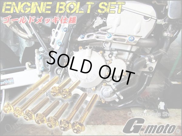 画像1: G-moto製 Dトラッカー250 対応 ステンレス製 ゴールドボルト 33本Set エンジンボルト ジェネレーターカバー等に フランジボルト (1)
