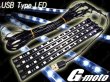 画像2: G-moto製 IV LED ロング スポコンKit USBver White or Blue (2)