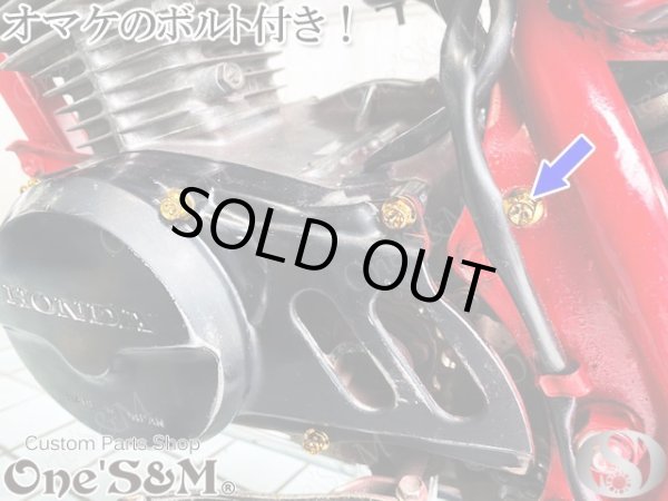 画像11: エイプ50 エイプ50 FI エイプ100 エンジンボルト ゴールドカラーボルト 15本set フランジボルト (11)