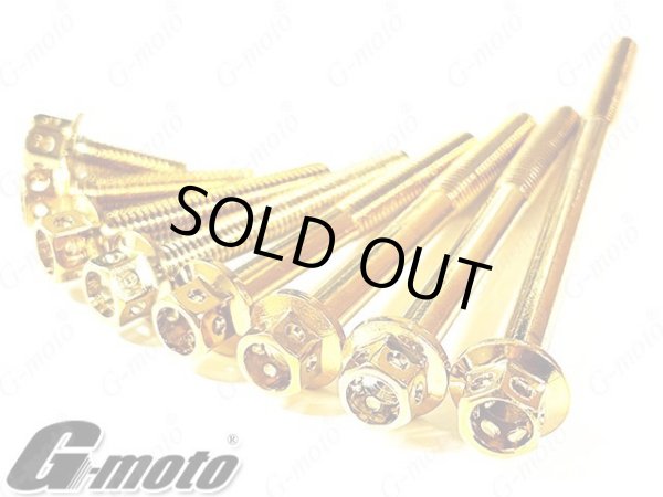 画像3: G-moto製 VT250F2H MC15E 専用 ステンレス製 ゴールドボルト 22本Set エンジンボルト ジェネレーターカバーフランジボルト (3)