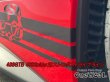 画像11: 送料込み ストロボストライプステッカーセット フェラーリ Ferrari 488GTB 488spider (11)