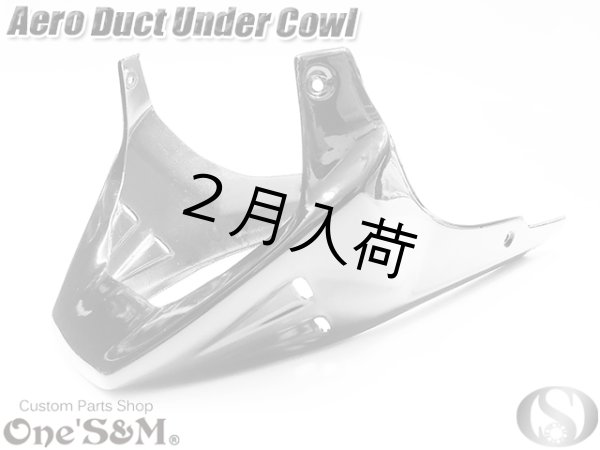 画像5: NEW アンダーカウル 黒 ツインダクトVer (5)