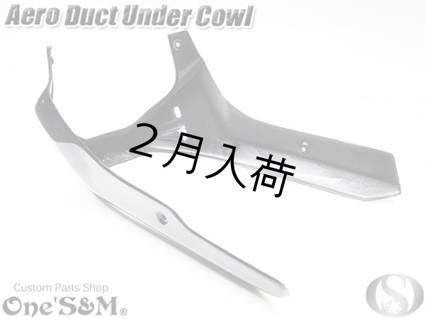 画像6: NEW アンダーカウル 黒 ツインダクトVer (6)
