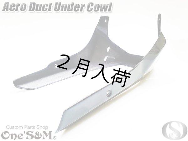 画像7: NEW アンダーカウル 黒 ツインダクトVer (7)