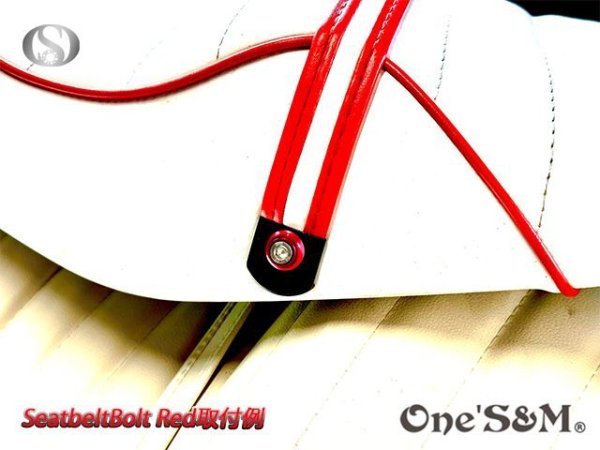 画像11: シートベルト止めフジツボ  専用取付けボルト Z900RS専用設計 (11)