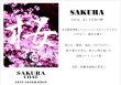 画像2: SAKURA COAT 桜コート 150ml (2)