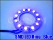 画像8: 【送料込み】12SMD LEDリング イカリング テールランプ ヘッドライト 加工やDIY ホワイト・ブルー (8)