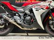 画像6: YZF R25 RG10J専用 高精度 フルエキゾーストマフラー ワンズ管 リアルカーボンサイレンサーVer (6)