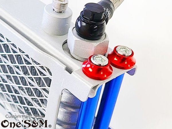 画像5: オイルクーラー M6 ボルトキャップ4個Set (5)