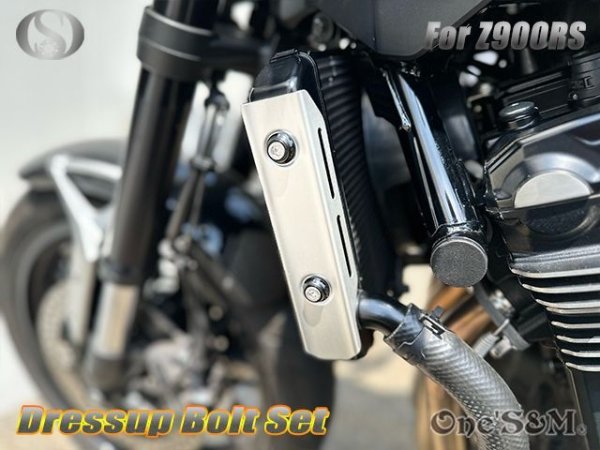 画像4: Z900RS専用設計 ラジエーターサイドフィン チェーンカバー 専用取付けボルト (4)