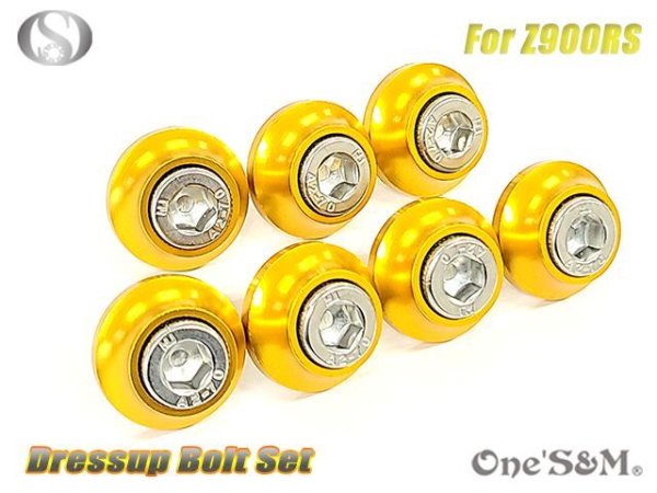 画像17: Z900RS専用設計 ラジエーターサイドフィン チェーンカバー 専用取付けボルト (17)