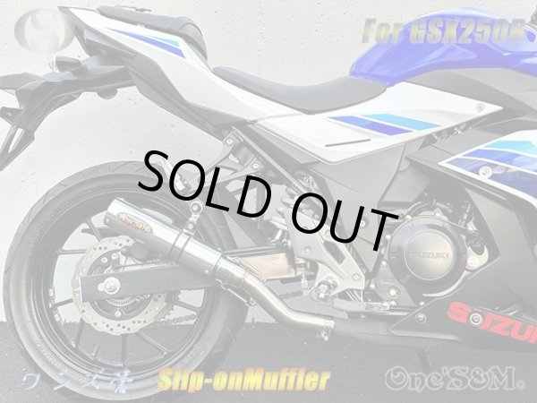 画像4: 純正エキパイ専用 GSX250R 2BK-DN11A用 スリップオン マフラー アルミサイレンサー (4)