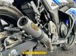 画像9: 純正エキパイ専用 GSX250R 2BK-DN11A用 スリップオン マフラー アルミサイレンサー (9)