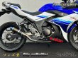 画像11: 純正エキパイ専用 GSX250R 2BK-DN11A用 スリップオン マフラー カーボンサイレンサー (11)