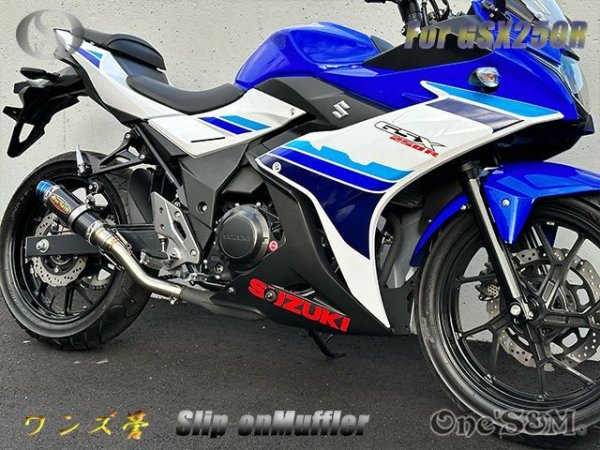 画像13: ☆純正エキパイ専用 GSX250R 2BK-DN11A用 スリップオン マフラー カーボンサイレンサー (13)