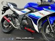 画像12: 純正エキパイ専用 GSX250R 2BK-DN11A用 スリップオン マフラー アルミサイレンサー (12)