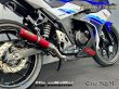 画像15: 純正エキパイ専用 GSX250R 2BK-DN11A用 スリップオン マフラー アルミサイレンサー (15)