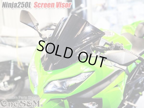 画像7: スクリーンバイザー フロントスクリーン  スモーク Ninja250L EX250L (7)