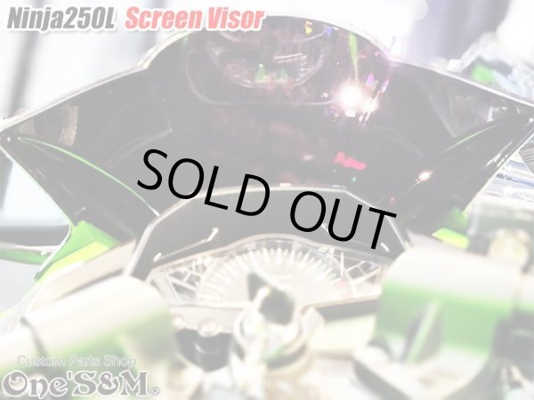 画像8: スクリーンバイザー フロントスクリーン  スモーク Ninja250L EX250L (8)