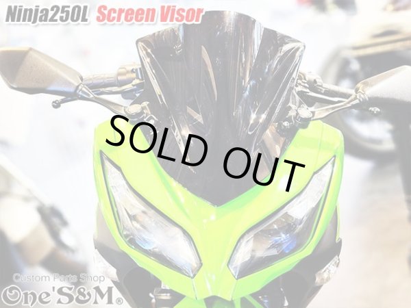 画像9: スクリーンバイザー フロントスクリーン  スモーク Ninja250L EX250L (9)