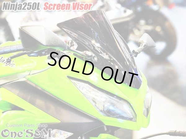 画像6: スクリーンバイザー フロントスクリーン  スモーク Ninja250L EX250L (6)