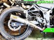 画像24: Ninja250 Ninja250R ニンジャ250 純正エキパイ用 スリップオンマフラー アルミサイレンサーVer (24)