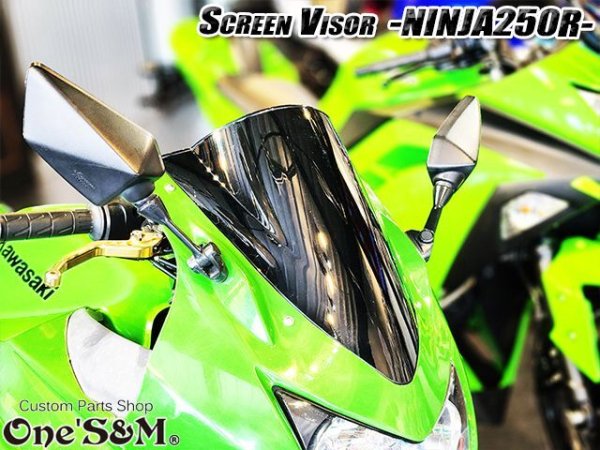 画像10: スクリーンバイザー フロントスクリーン  NINJA250R JBK-EX250K (10)