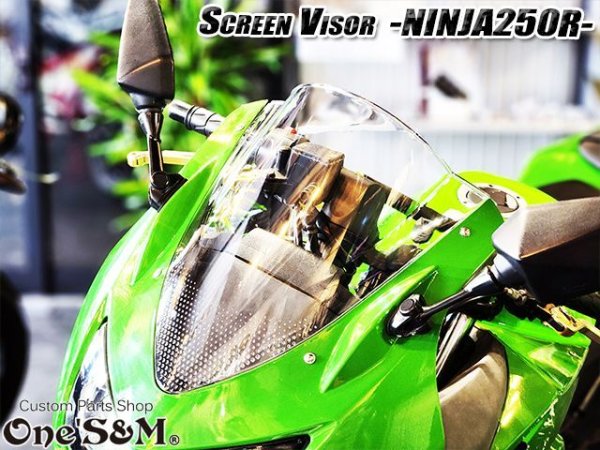 画像8: スクリーンバイザー フロントスクリーン  NINJA250R JBK-EX250K (8)