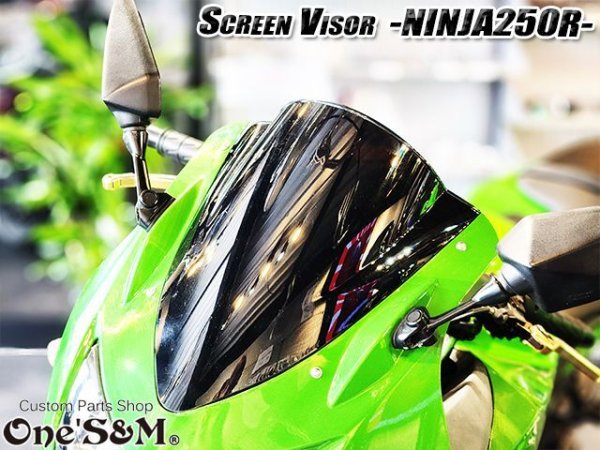画像12: スクリーンバイザー フロントスクリーン  NINJA250R JBK-EX250K (12)