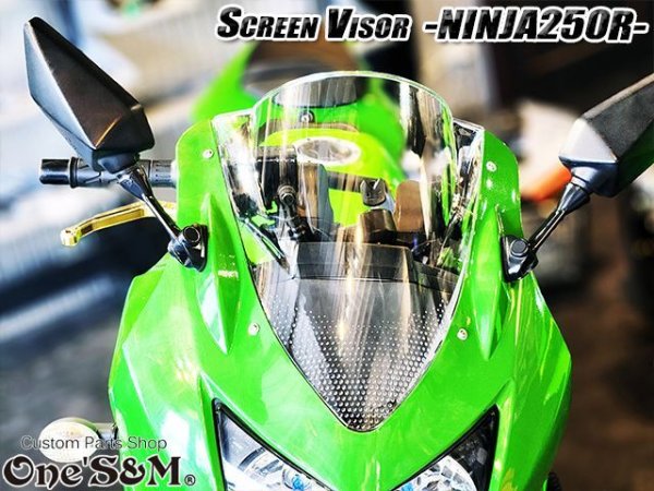 画像7: スクリーンバイザー フロントスクリーン  NINJA250R JBK-EX250K (7)