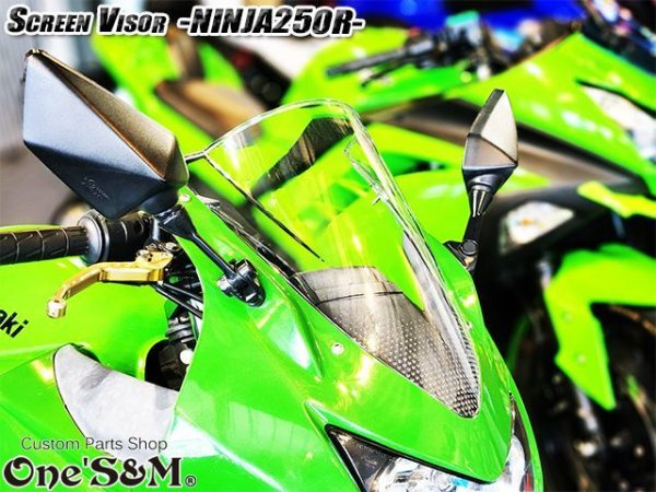 画像9: スクリーンバイザー フロントスクリーン  NINJA250R JBK-EX250K (9)